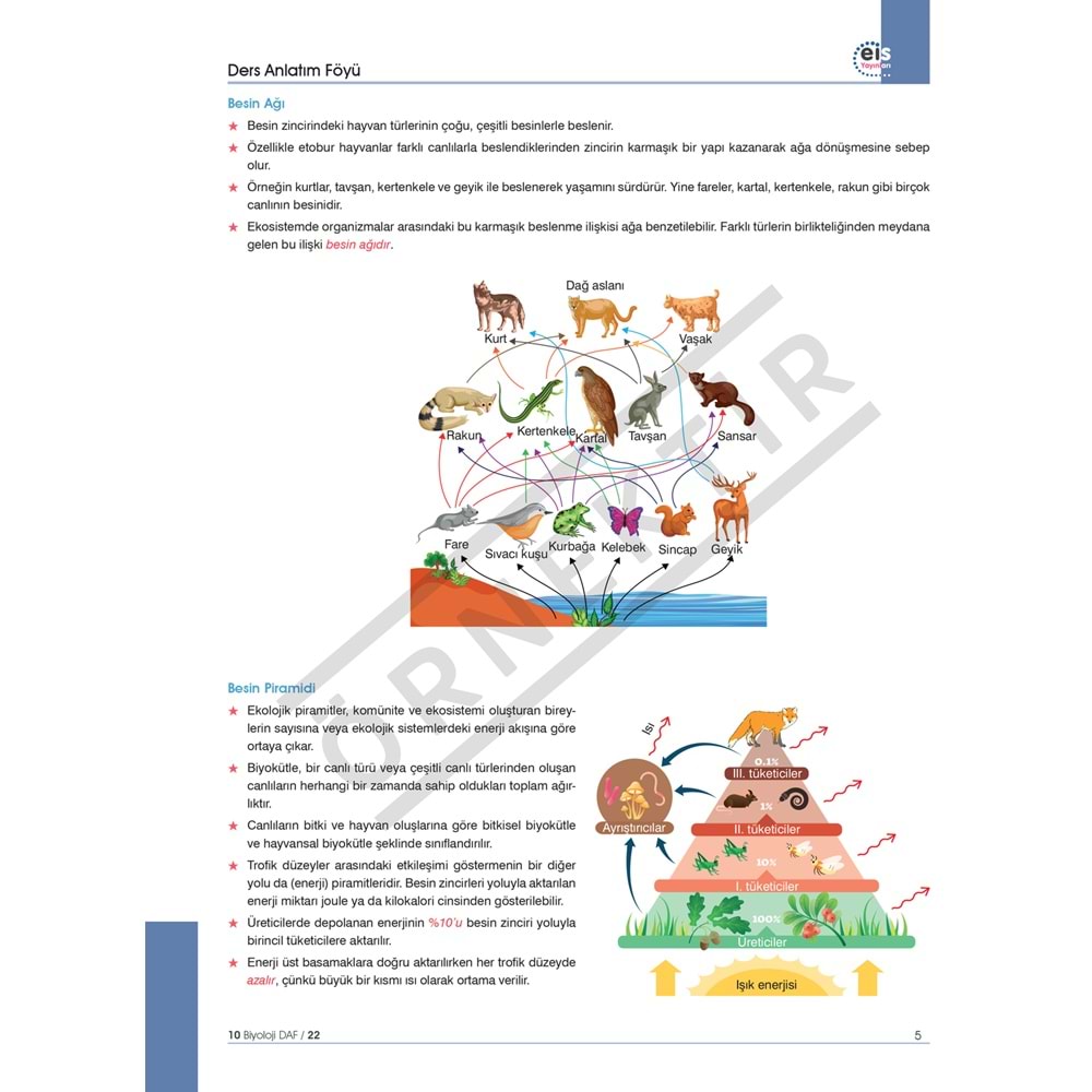 Eis Yayınları 10. Sınıf Biyoloji DAF